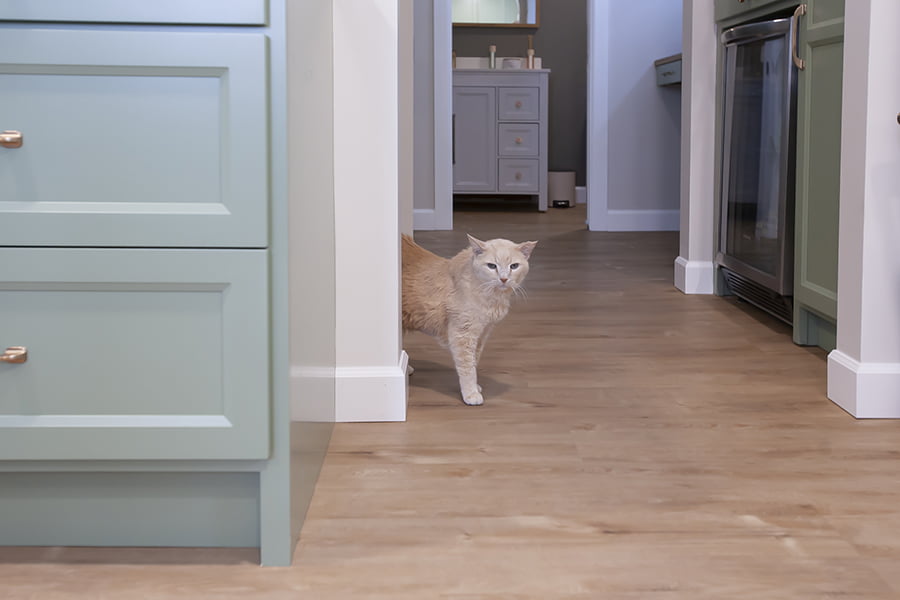 kitchen trends: pet stations