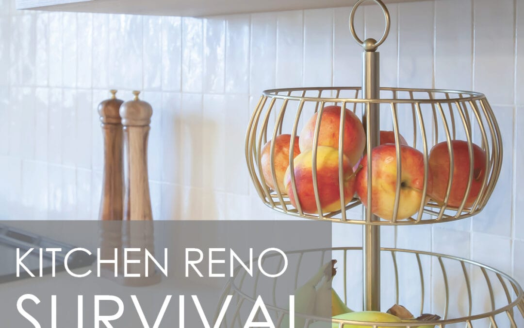 Kitchen Renovation SURVIVAL GUIDE