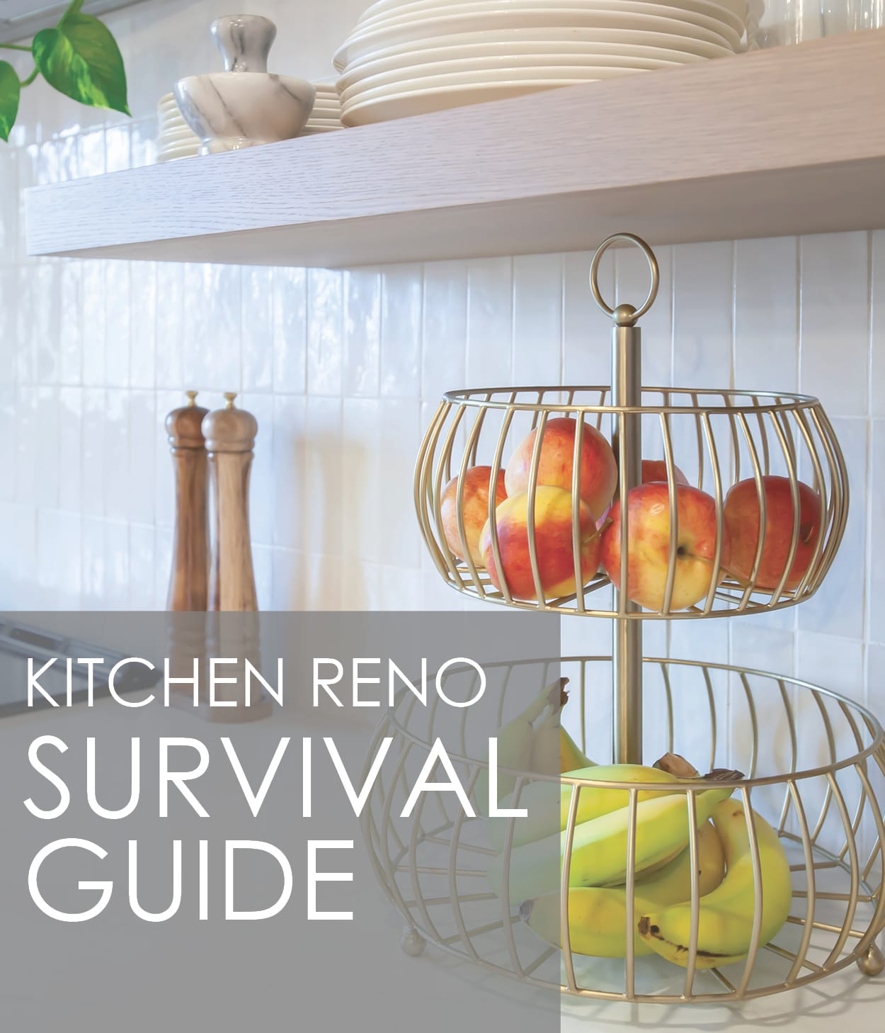 Kitchen Renovation SURVIVAL GUIDE